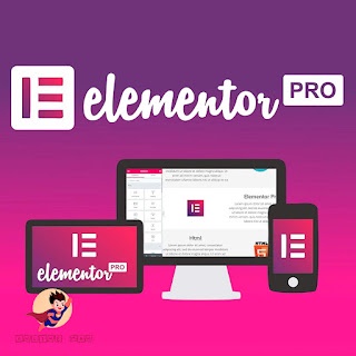 Elementor PRO Lifetime License Unlimited Web