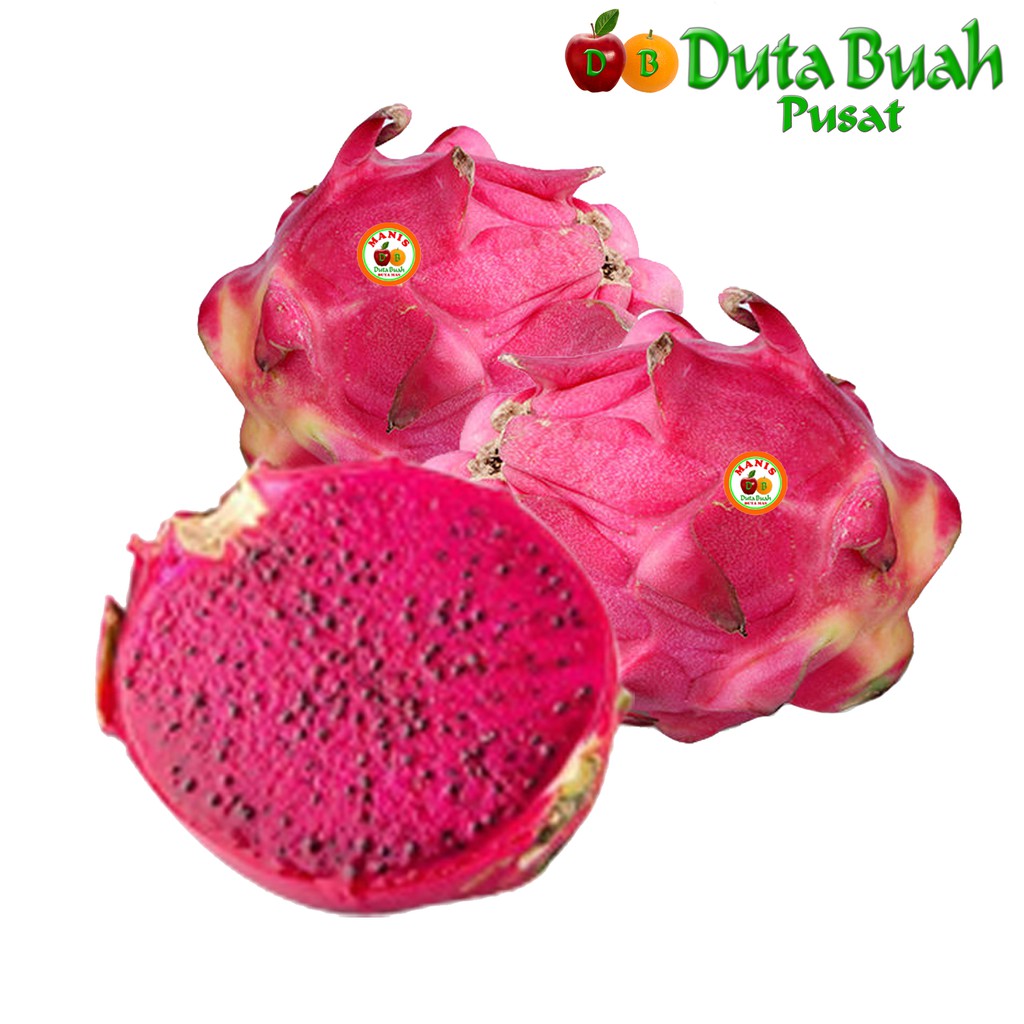 

DUTA BUAH buah naga merah premium (-+500g-1kg/1 pcs)