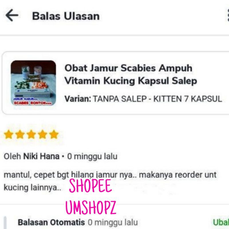 Vitamin Kucing Obat Jamur Scabies Paling Ampuh