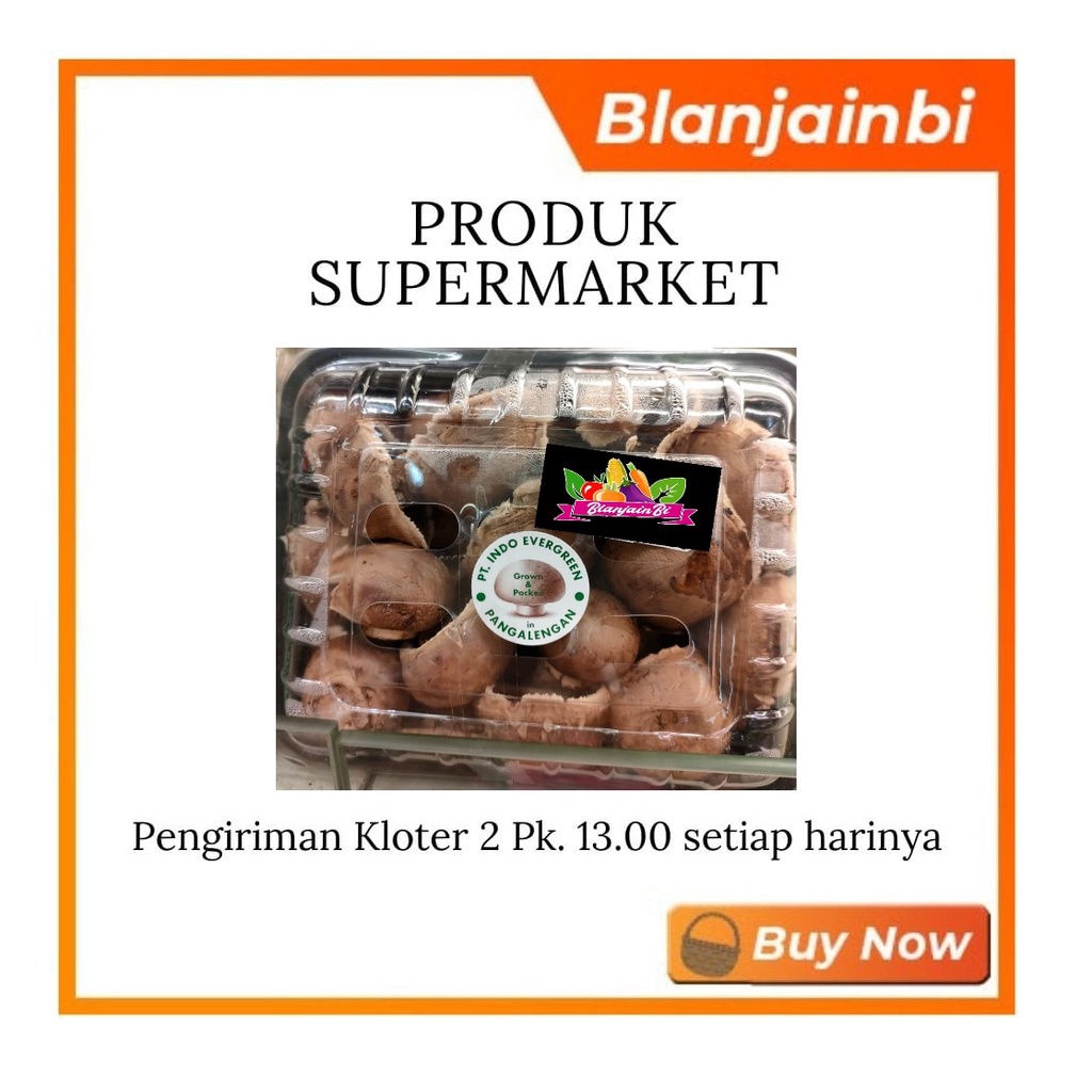 

Jamur Suis Brown Evergreen Bandung Area