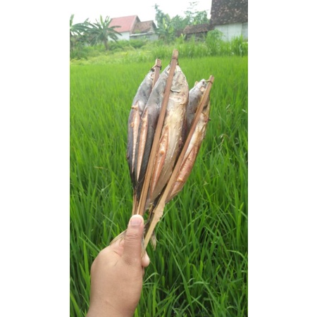 

Tuna asap khas tulungagung