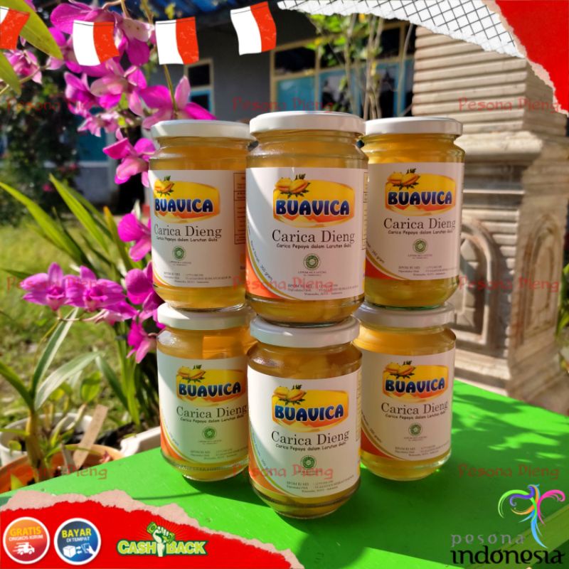 

(COD) SIRUP CARICA KHAS DIENG WONOSOBO KEMASAN GELAS JUMBO ENAK SEGAR DAN NIKMAT TERDAFTAR BPOM RI DAN HALAL MUI PRODUK UNGGULAN UMKM WONOSOBO KUALITAS EKSPORT