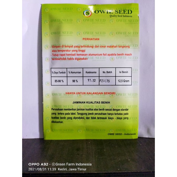 Cabe Veloz Tahan virus kuning kemasan 12.5gr Original Pabrik Owie Seed Cabe Velos Tahan Kuning