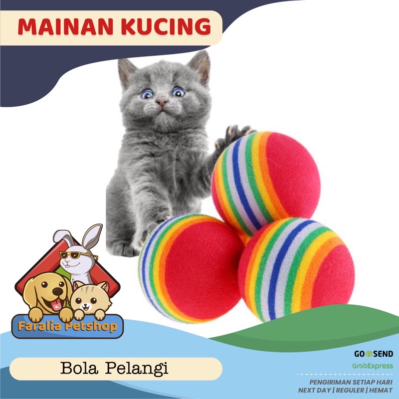 Mainan Kucing Anjing Bentuk Bola Elastis Busa Kitten Puppy Pelangi Rainbow Cat Ball Dog