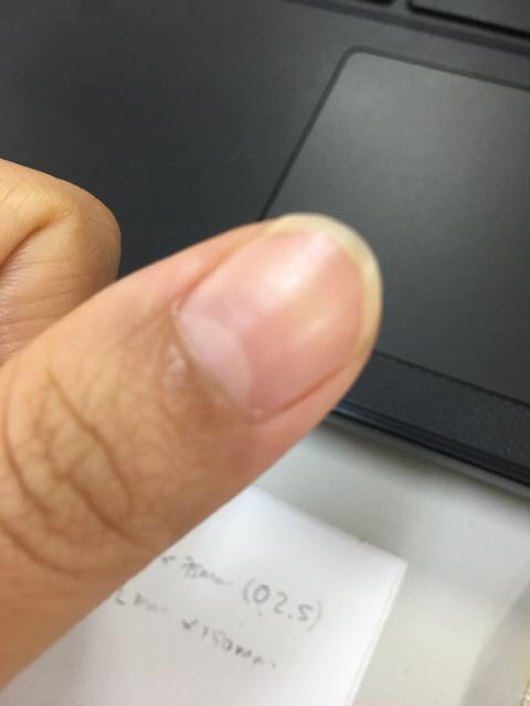 Rail Holder King Jim 502ga-10 /cover Clip Plastik Jilid / Pipe Jilid / Alat Jilid Ukuran A4