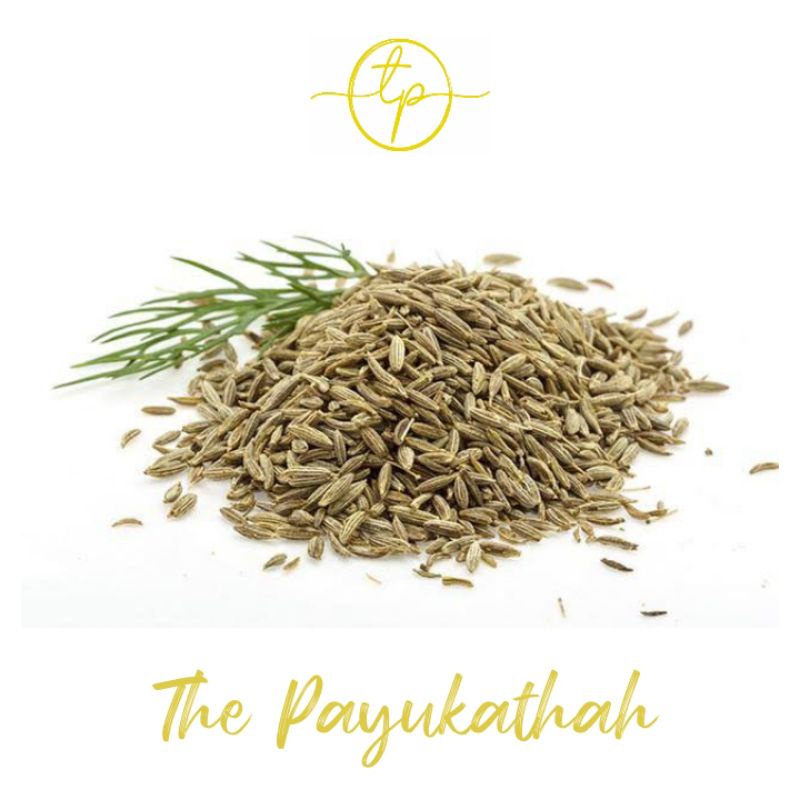 

Jinten Kemasan Ekonomis 100gr / Bumbu Rempah Dapur Empon Empon