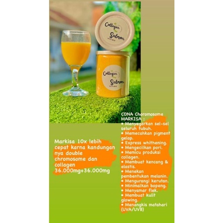 Collagen DNA Salmon MARKISA