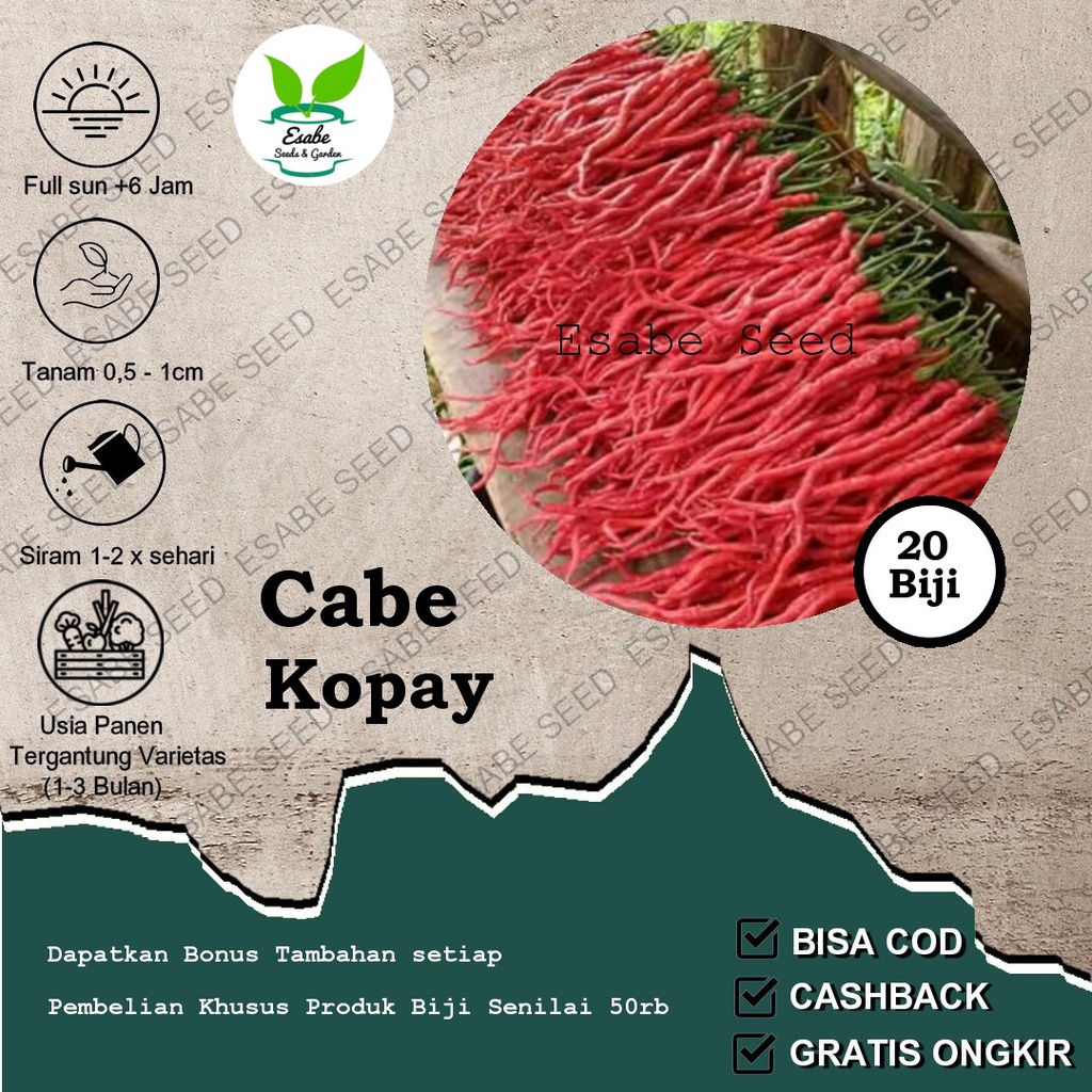 Benih Cabe Keriting Kopay Monster Size 20 Seed