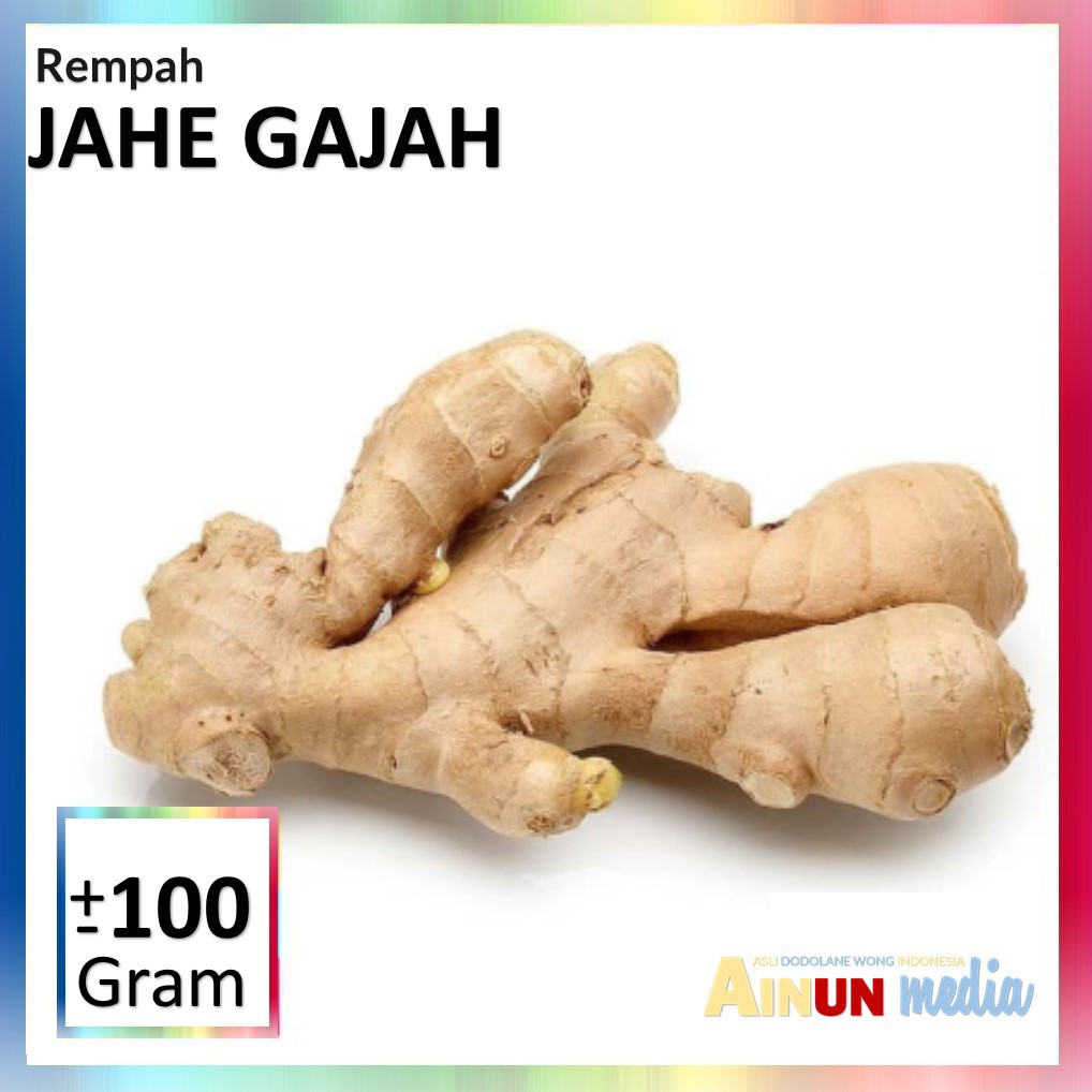 

Jahe Gajah Segar dari Pengunungan Jawa Barat 100% ASLI.