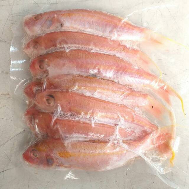 

Ikan Kurisi 500gr