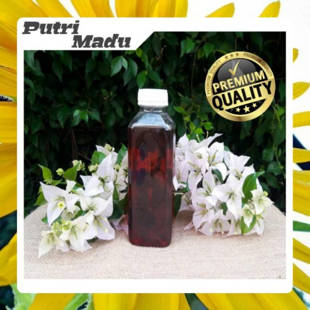 

Madu hutan asli sumbawa 600gr