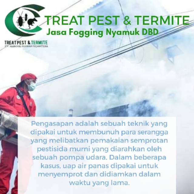 Fogging nyamuk DBD