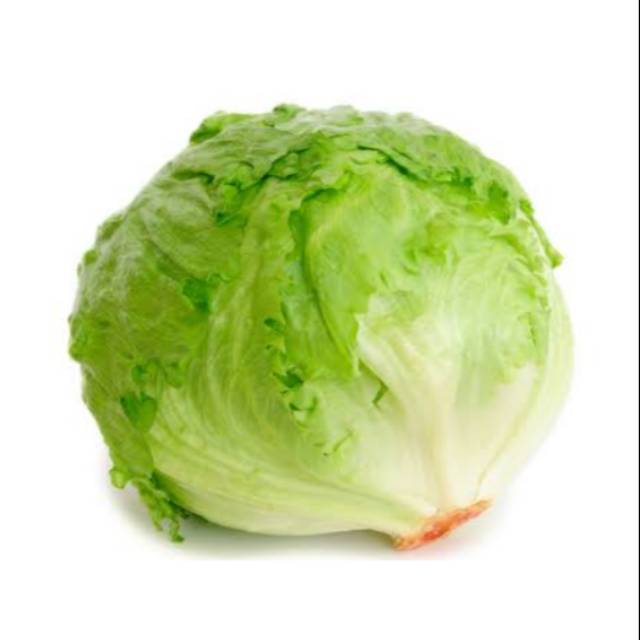 

Lettuce Head Organik 100g