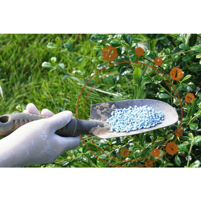 200 gram NPK Mutiara/ pupuk Mutiara Biru/ Pupuk Tanaman