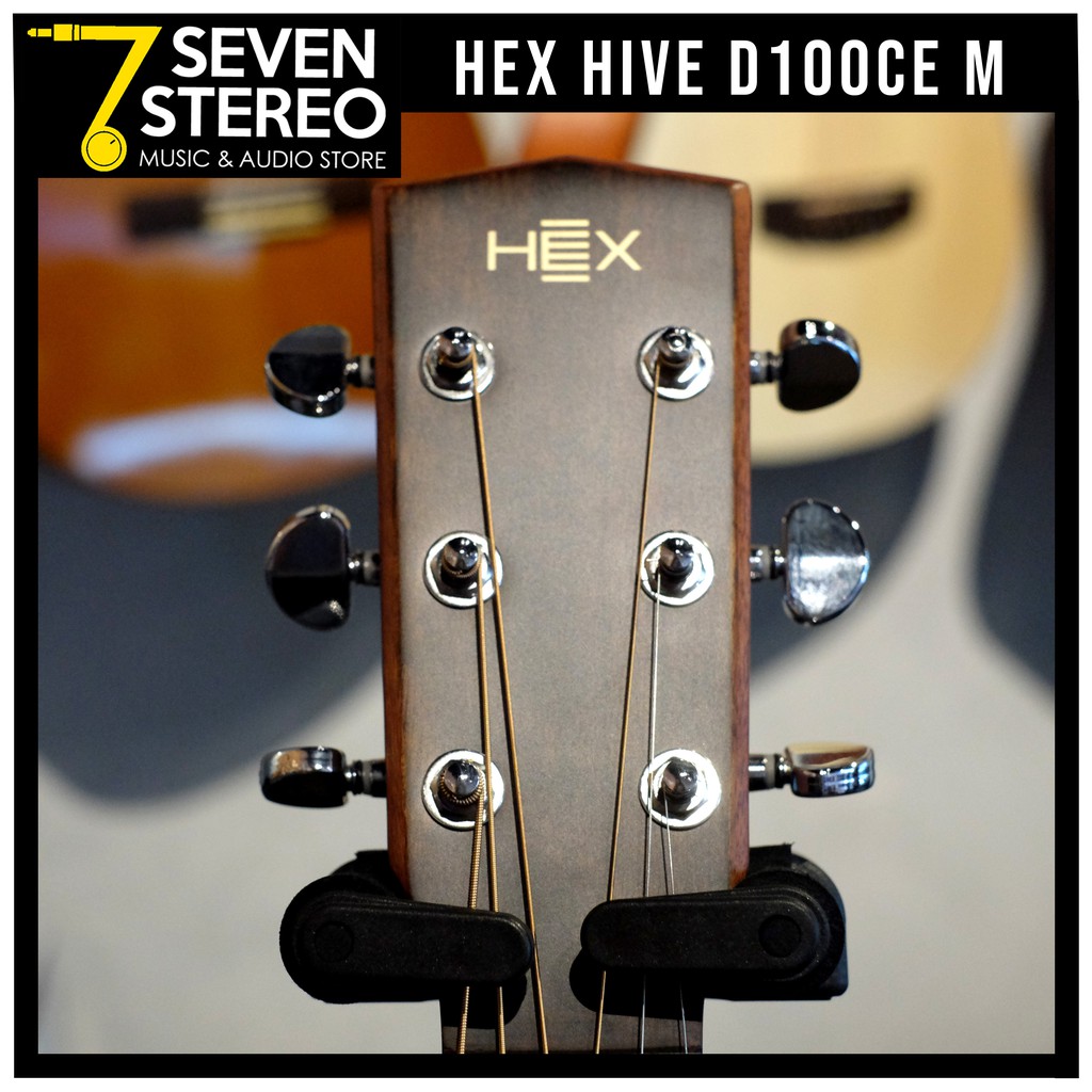 Hex Hive D100 CEM Electric Acoustic Guitar