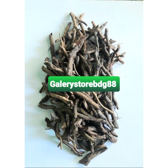 

Akar aren akar pohon aren kering 500 gram-az