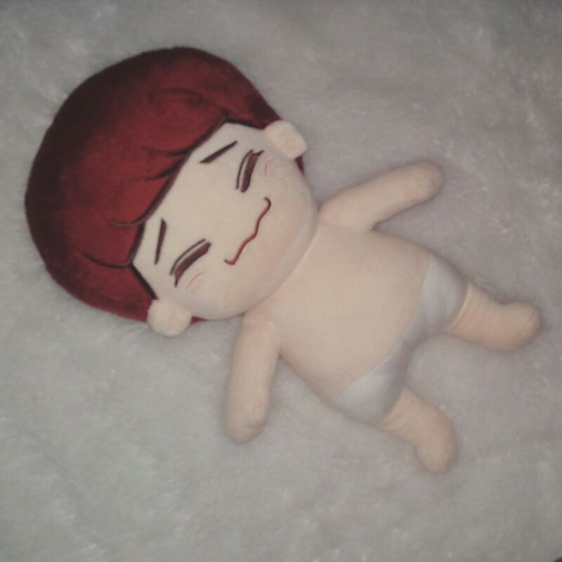 (Mohon Baca Deskripsi) Preloved Boneka EXO Chen Doll 30 cm Doll EXO Dolls Kpop Doll Jongdae Doll Bon