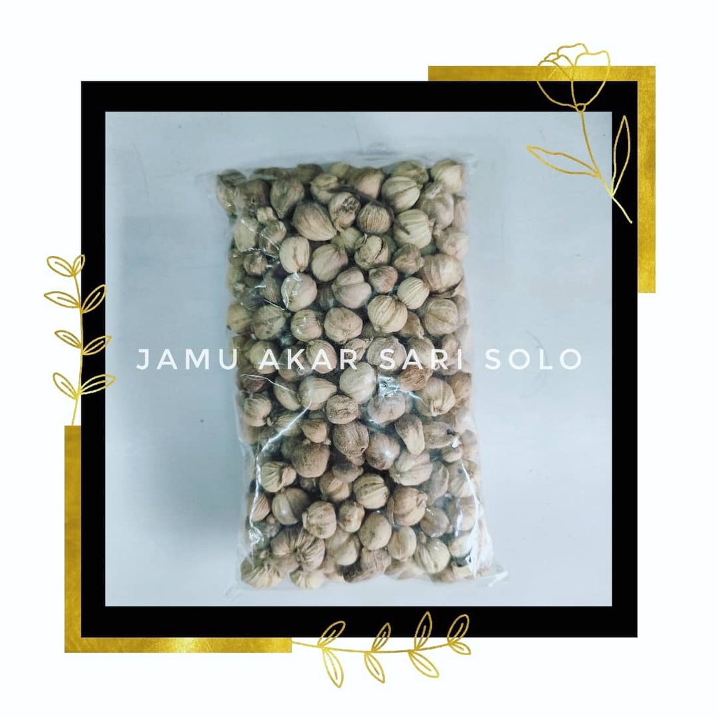 

Jamu Akar Sari - Kapulaga Jawa - Kapulaga Bulat - Kapulogo - Mengatasi pencernaan