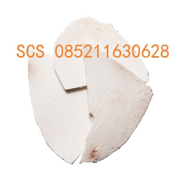 

Fu Ling Poria Indian Bread Tuckahoe 600 gram 茯苓