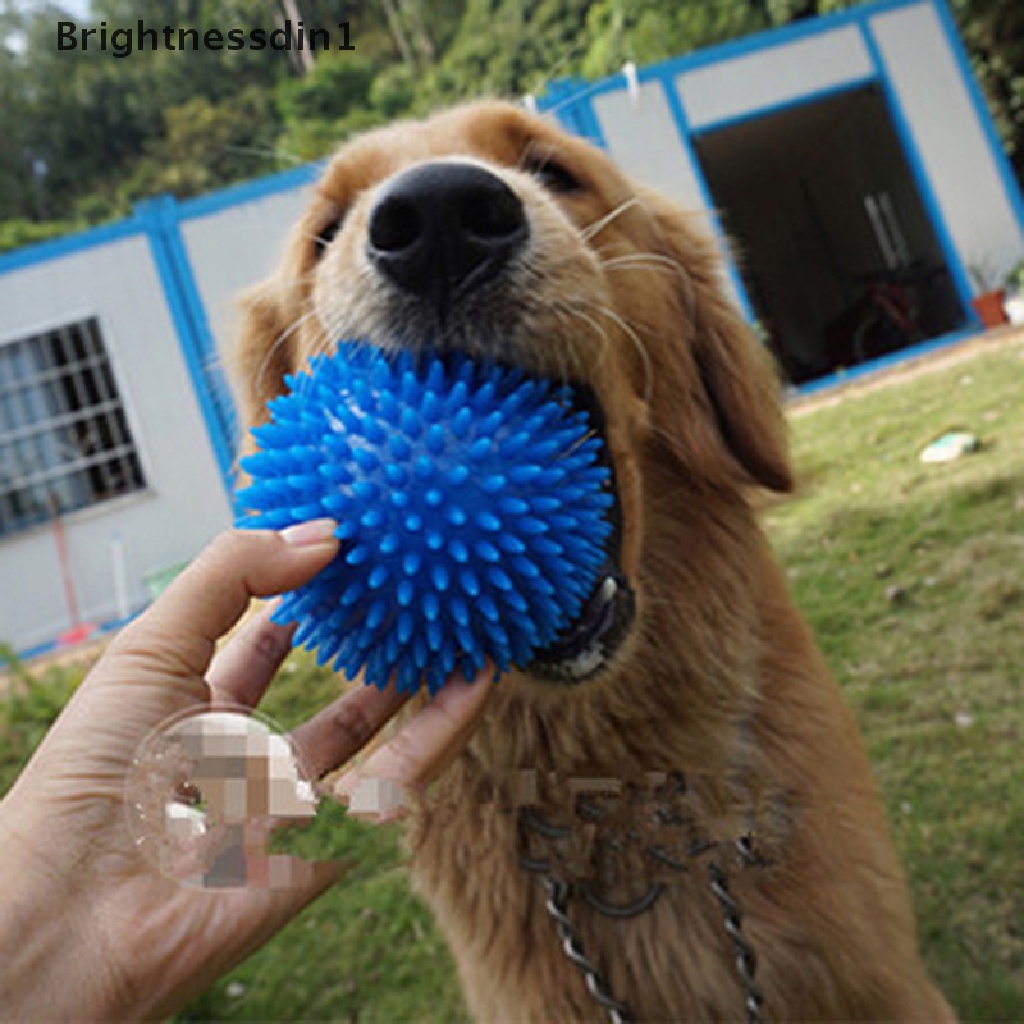 Mainan Bola Karet Berduri 1 Untuk Membersihkan Gigi Anjing