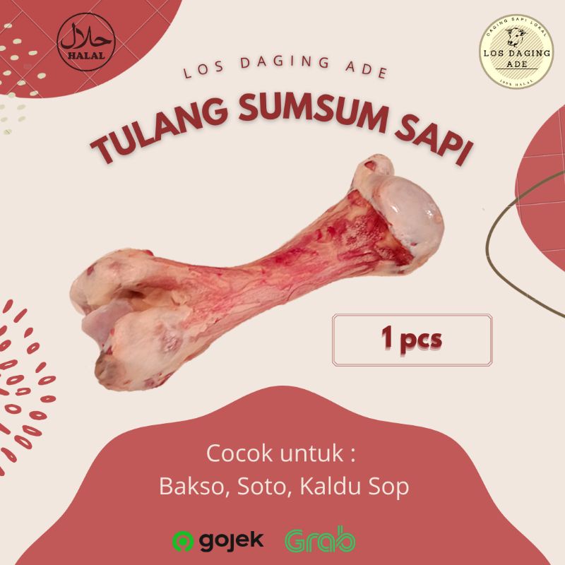 

Tulang Sumsum Sapi Fresh | 1 pcs