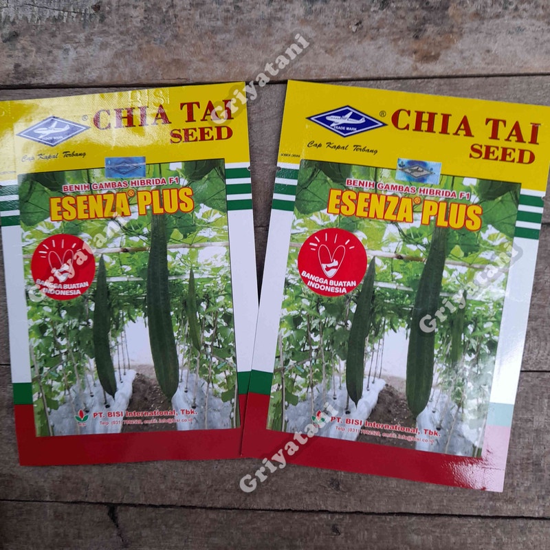 Benih Oyong Gambas Esenza plus F1 10 gram