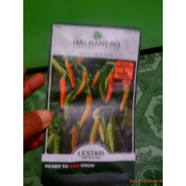 benih cabe lestari dari produk halbanero