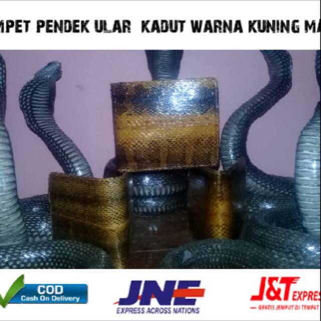 Dompet kulit ular kadut