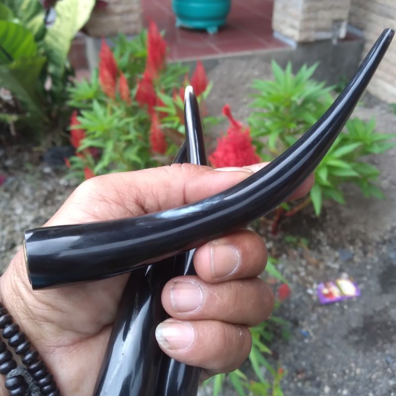 pipa tanduk kerbau hitam super premium