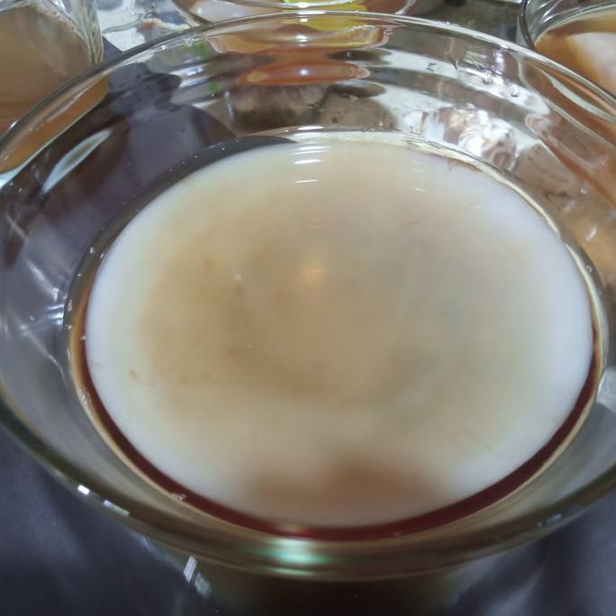 

Scoby / Bibit Jamur Combucha Fresh Atau Jamur Dipo