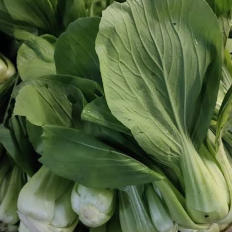 

Pakcoy 500gr Bakul Sayur Bandung