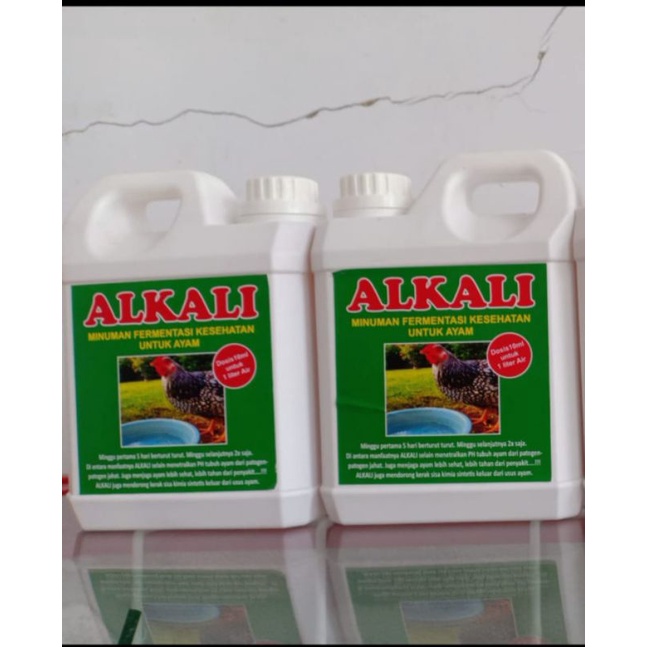 

alkali ayam