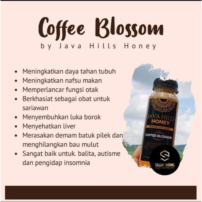 

Madu Javahills Varian Coffee Blossom