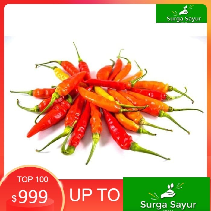 

SURGA SAYUR SEGAR Cabe Rawit Merah 100 Gram