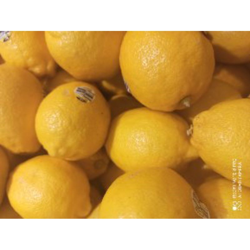 

Lemon Australia Seedles