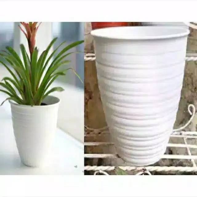 Pot bunga TAWON PIRUS 211 putih