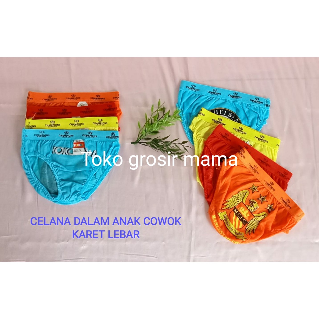 CELANA DALAM ANAK COWOK 1-12 TAHUN / CELANA DALAM ANAK LAKI LAKI 1-12 TAHUN / CD ANAK COWOK S-M-L / 