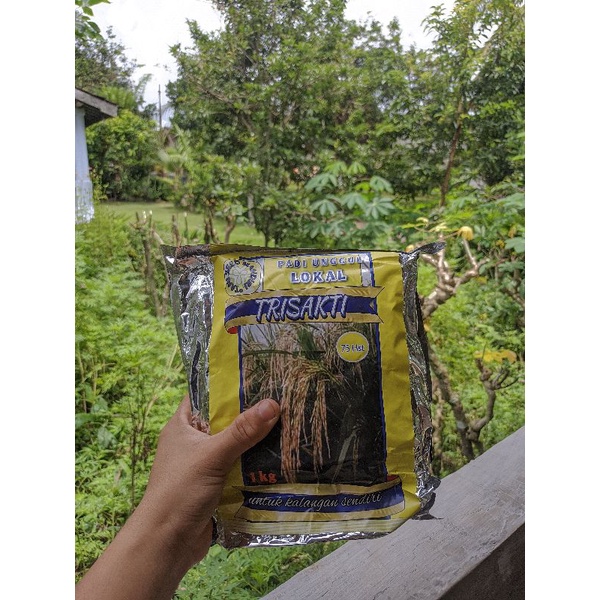 benih padi TRISAKTI 75HST bibit unggul berat 1kg