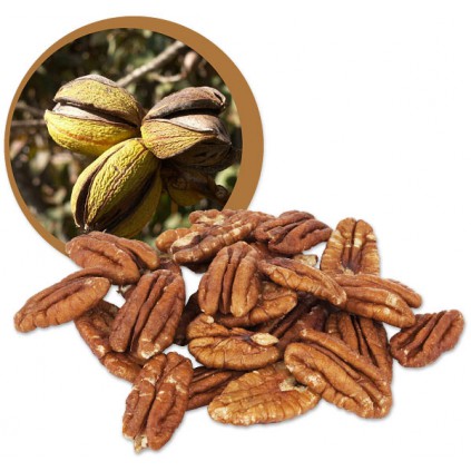 

Kacang Pecan Mentah / Raw Pecan Nuts 100gr