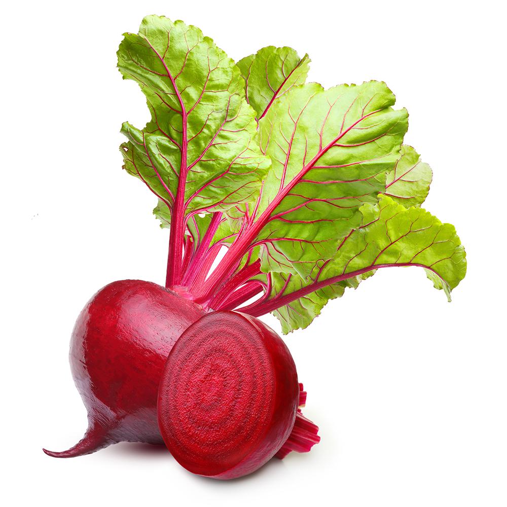 Benih Beet / Beetroot / Bit Root / Buah Bit Merah