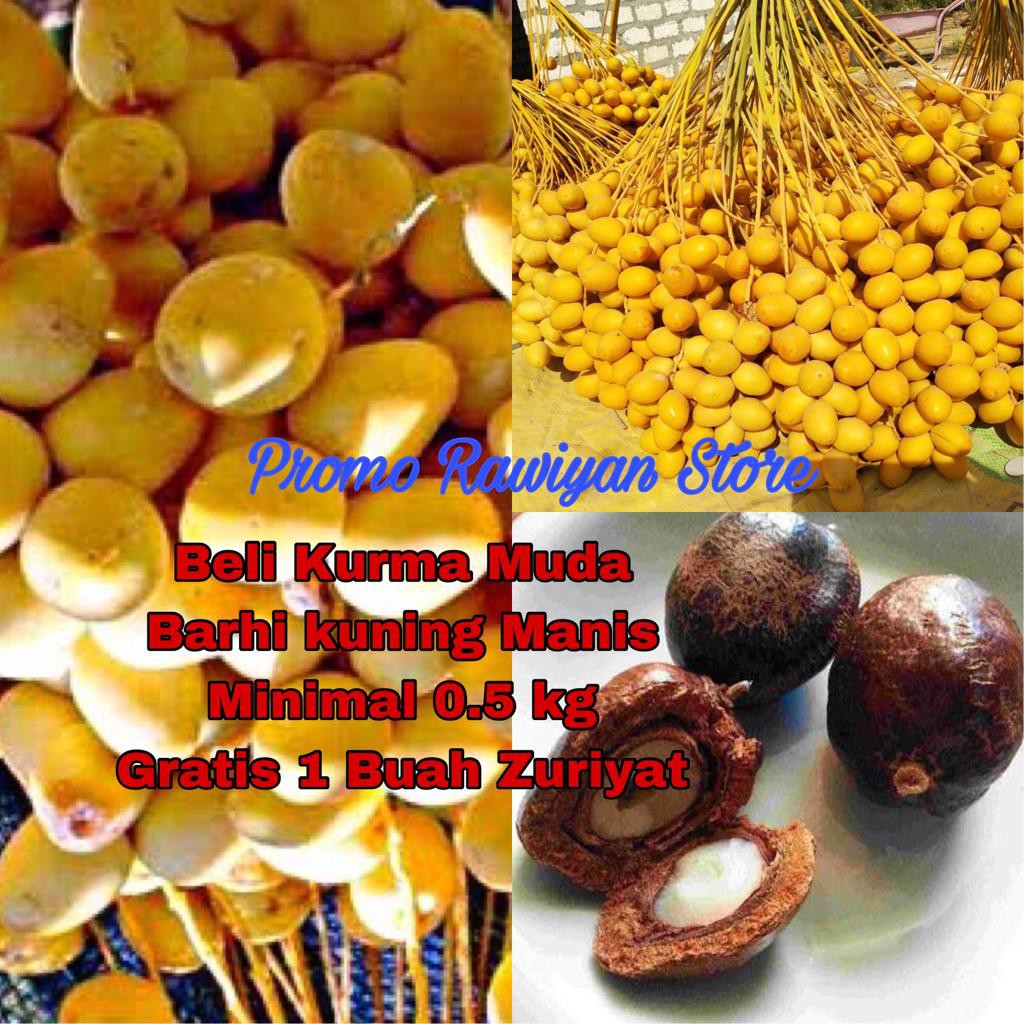 

PROMO Kurma Muda Kuning / Barhee Maniss Legit GRATIS BUAH ZURIYAT