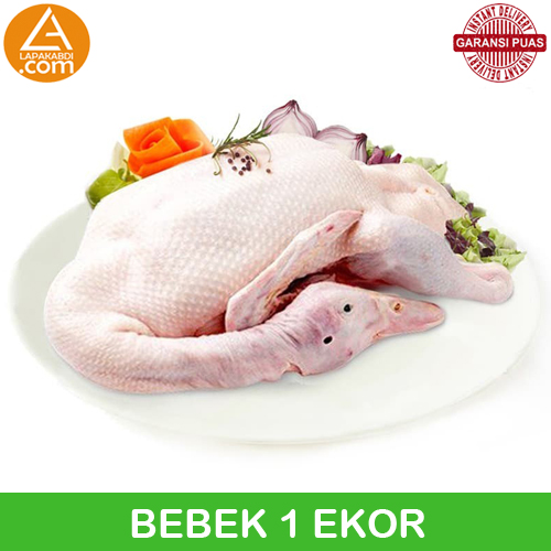 

Bebek 1 Kg per Ekor Daging Segar Garansi Termurah