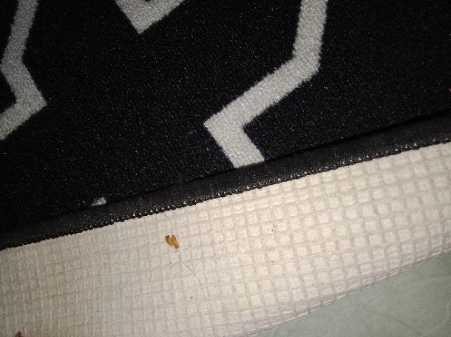 Full Colour Scandinavian Rug