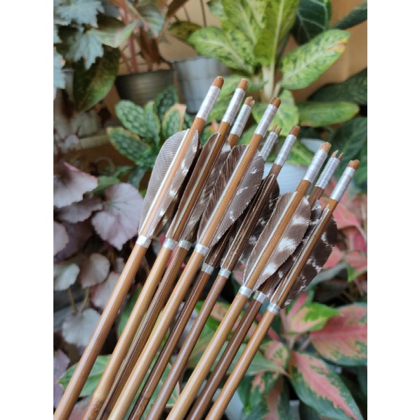 Arrow Tonkin murah meriah