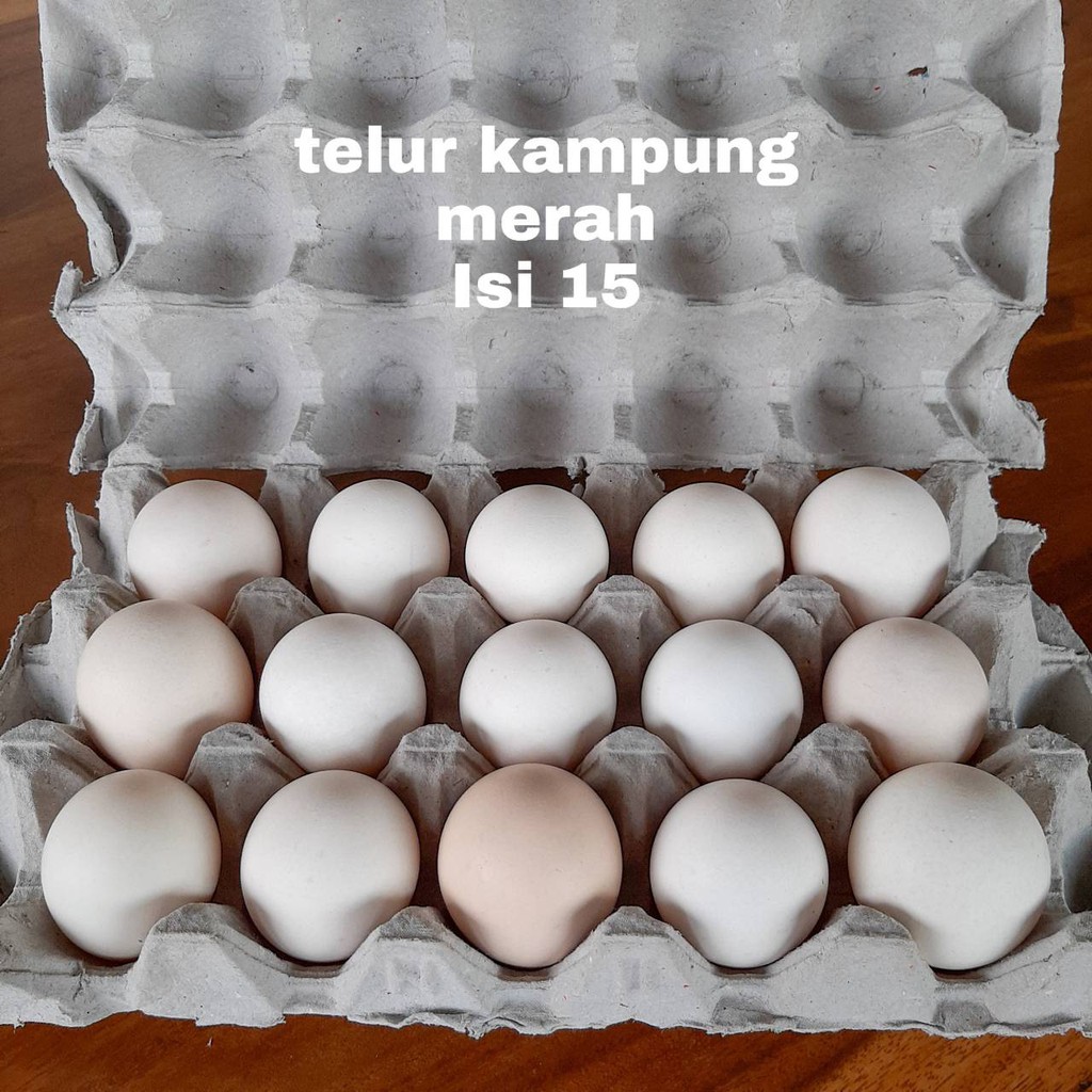 

Telur Kampung Merah Isi 15 Butir