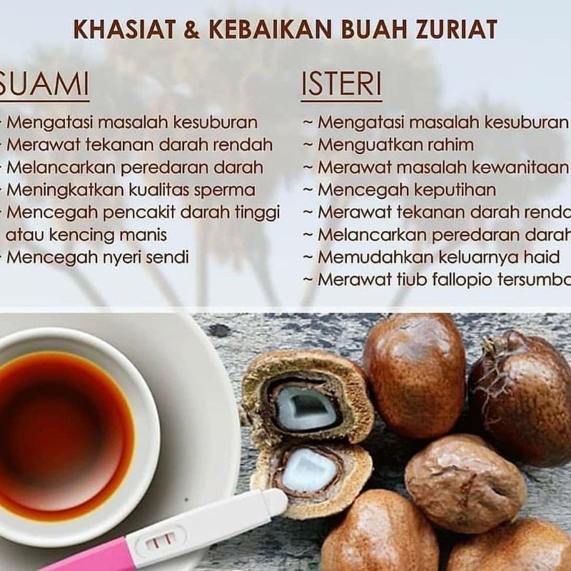 

Buah Zuriat