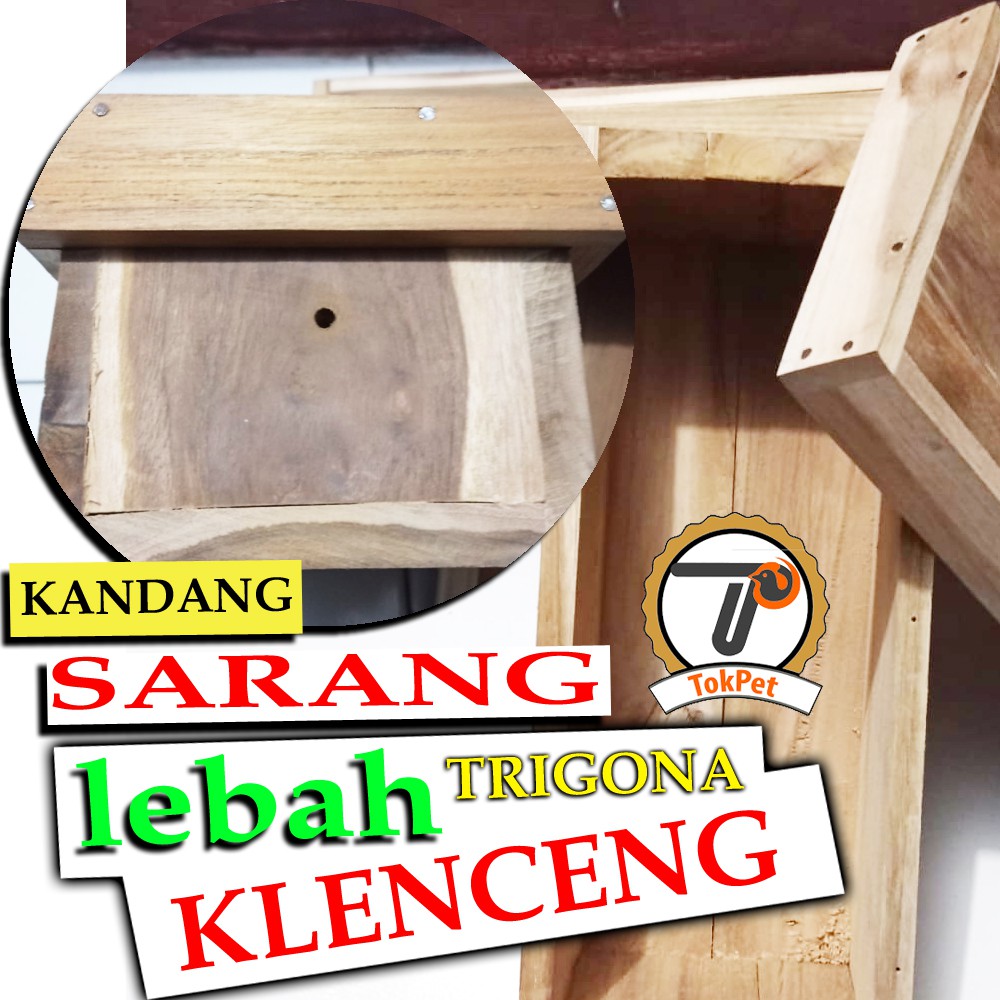 kotak lebah madu sarang tempat lebah trigona klenceng