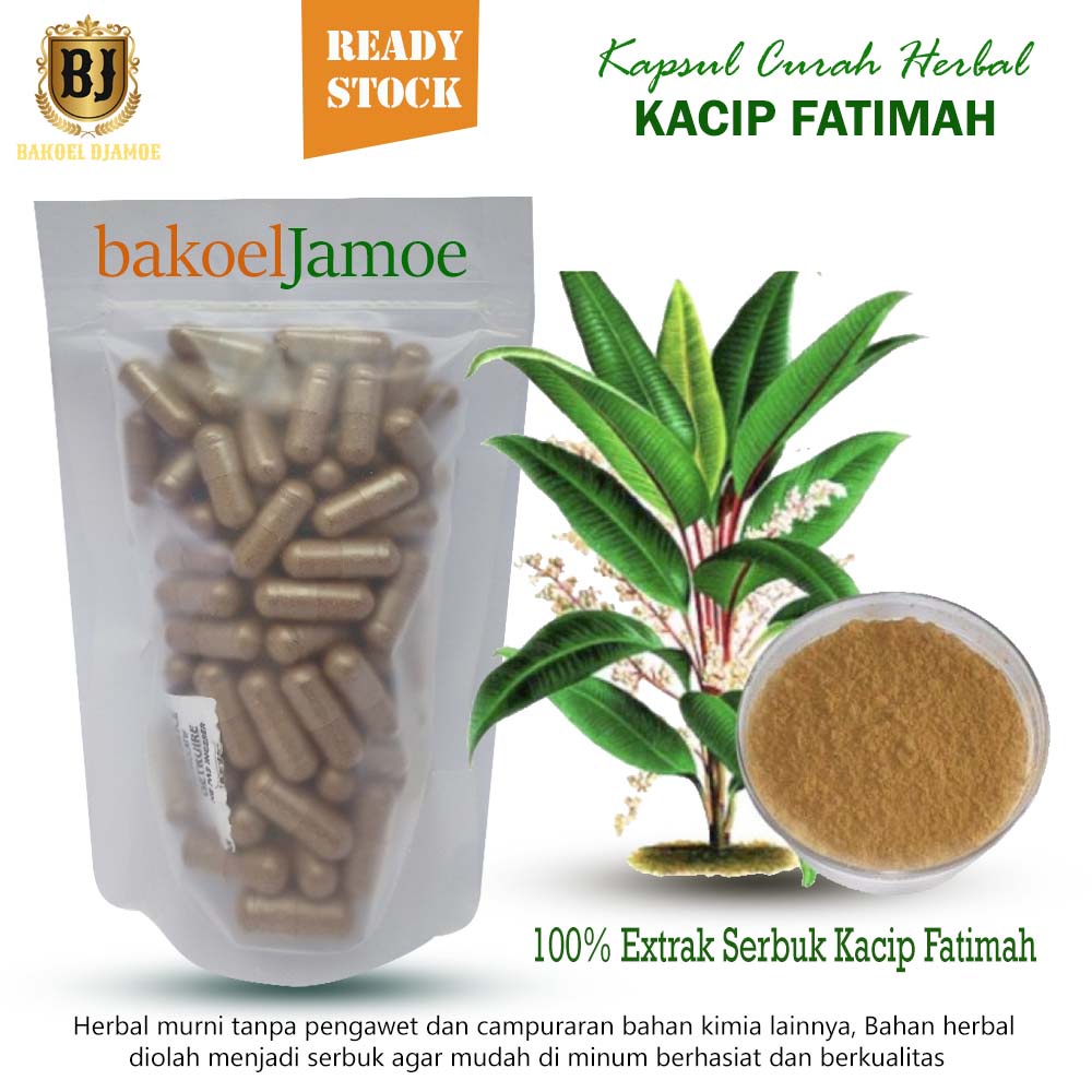 

Kacip fatimah kapsul curah herbal kacip fatimah kapsul herbal melancarkan haid