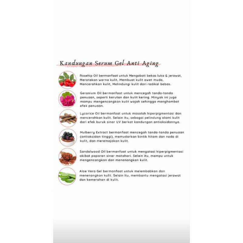 Serum Anti Aging Halwey