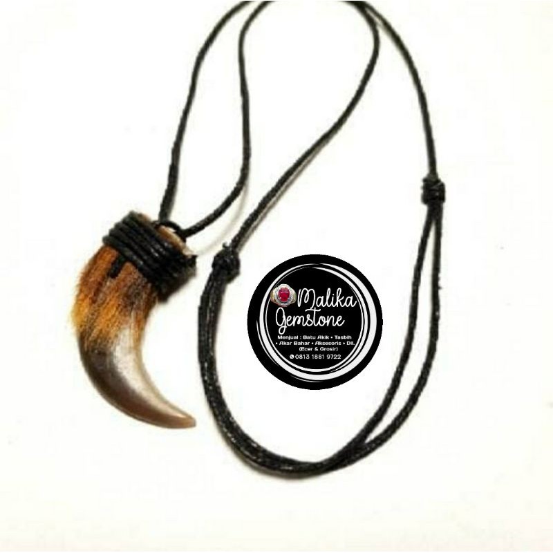 KALUNG LIONTIN KUKU SAPI